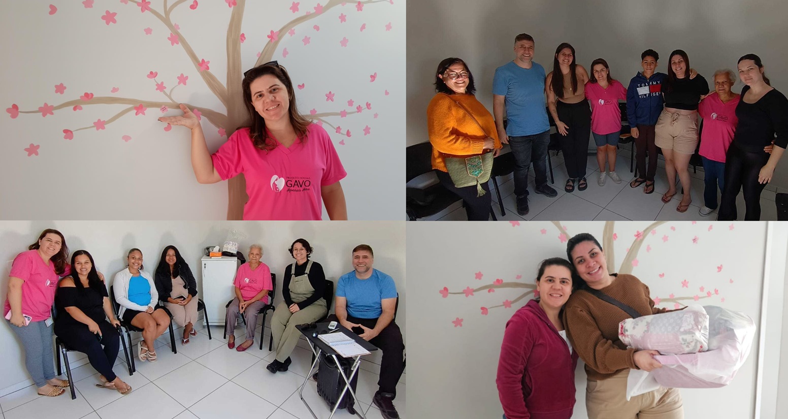 Foto do Projeto GAVO